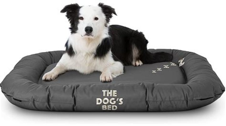 Best Dog Bed For Chewers One He Can't Get His Teeth Into!