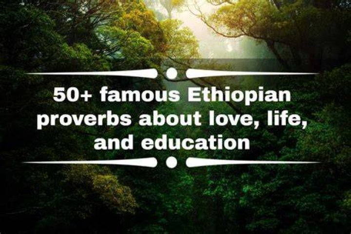 Ethiopian Wisdom: Proverbs That Capture A Culture's Soul