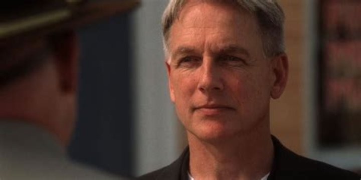 Mark Harmon's Kids Meet Children Sean and Ty With Pam Dawber